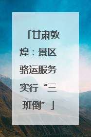 甘肃敦煌：景区骆运服务实行“三班倒”