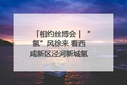 相约丝博会｜“氢”风徐来 看西咸新区泾河新城氢能产业聚链成势