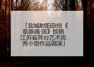 盐城射阳杂技《草原魂·顶》惊艳江苏省舞台艺术优秀小型作品调演