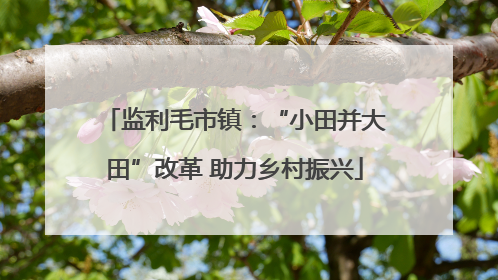 监利毛市镇：“小田并大田”改革 助力乡村振兴