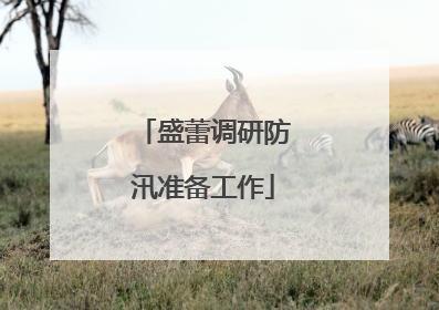 盛蕾调研防汛准备工作