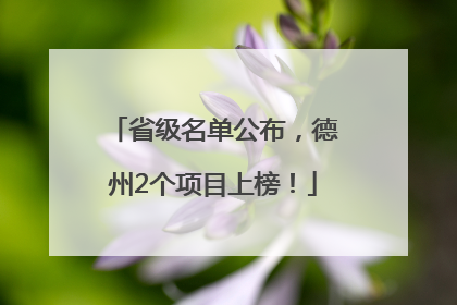 省级名单公布，德州2个项目上榜！