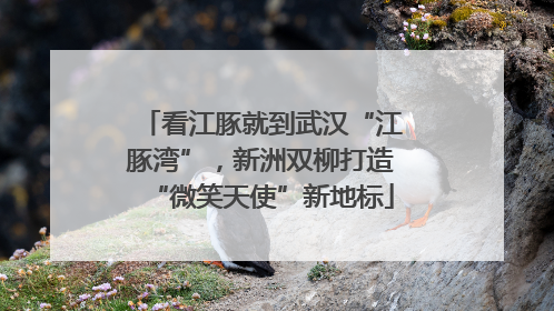 看江豚就到武汉“江豚湾”，新洲双柳打造“微笑天使”新地标