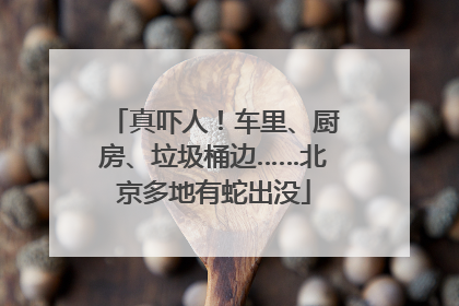 真吓人！车里、厨房、垃圾桶边……北京多地有蛇出没
