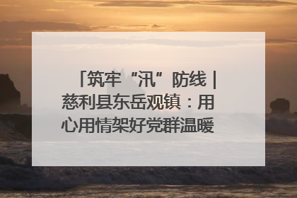筑牢“汛”防线｜慈利县东岳观镇：用心用情架好党群温暖悠长的“连心桥”