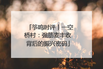 筝鸣时评丨一空桥村：强筋麦丰收背后的振兴密码
