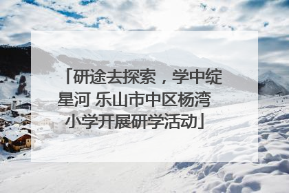 研途去探索，学中绽星河 乐山市中区杨湾小学开展研学活动