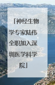 神经生物学专家陆伟全职加入深圳医学科学院