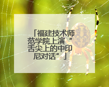 福建技术师范学院上演“舌尖上的中印尼对话”
