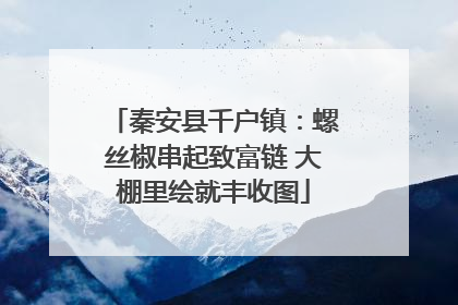 秦安县千户镇：螺丝椒串起致富链 大棚里绘就丰收图
