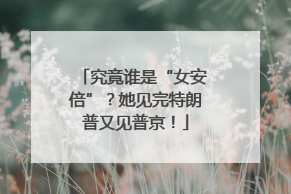究竟谁是“女安倍”？她见完特朗普又见普京！