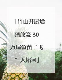 竹山开展增殖放流 30万尾鱼苗“飞”入堵河