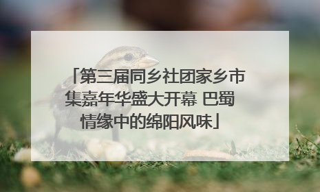 第三届同乡社团家乡市集嘉年华盛大开幕 巴蜀情缘中的绵阳风味