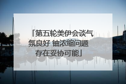 第五轮美伊会谈气氛良好 铀浓缩问题存在妥协可能