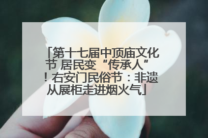 第十七届中顶庙文化节 居民变“传承人”！右安门民俗节：非遗从展柜走进烟火气