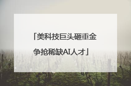 美科技巨头砸重金争抢稀缺AI人才