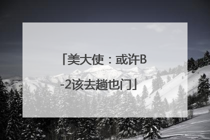 美大使：或许B-2该去趟也门