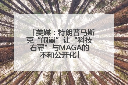 美媒：特朗普马斯克“闹崩”让“科技右翼”与MAGA的不和公开化