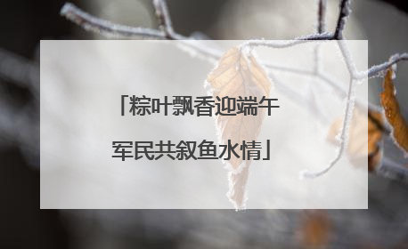 粽叶飘香迎端午 军民共叙鱼水情
