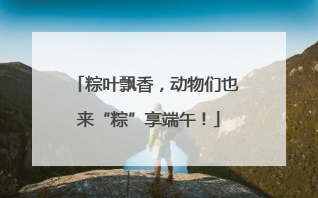 粽叶飘香，动物们也来“粽”享端午！