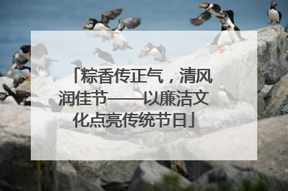 粽香传正气，清风润佳节——以廉洁文化点亮传统节日
