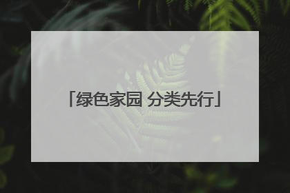 绿色家园 分类先行
