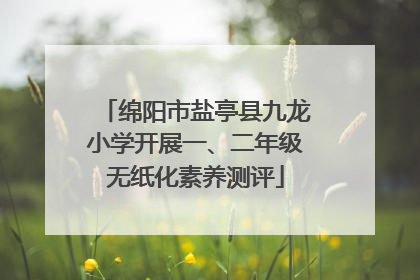 绵阳市盐亭县九龙小学开展一、二年级无纸化素养测评