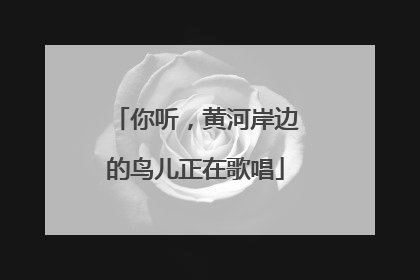 你听，黄河岸边的鸟儿正在歌唱