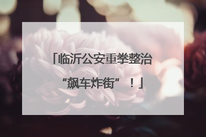 临沂公安重拳整治“飙车炸街”！