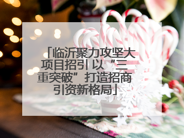 临沂聚力攻坚大项目招引 以“三重突破”打造招商引资新格局