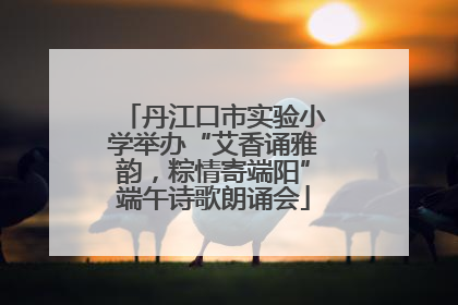 丹江口市实验小学举办“艾香诵雅韵，粽情寄端阳”端午诗歌朗诵会