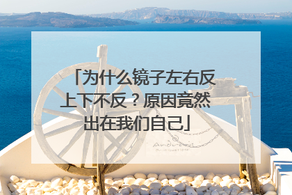 为什么镜子左右反上下不反？原因竟然出在我们自己