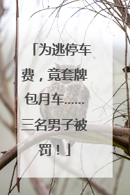 为逃停车费，竟套牌包月车……三名男子被罚！