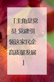 主角是党员 党建引领这家民企高质量发展