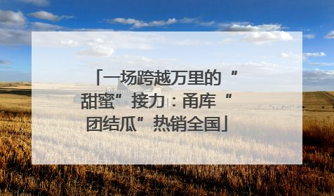 一场跨越万里的“甜蜜”接力：甬库“团结瓜”热销全国