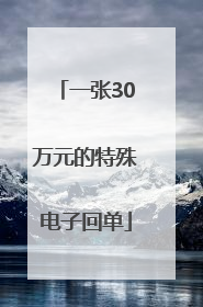 一张30万元的特殊电子回单