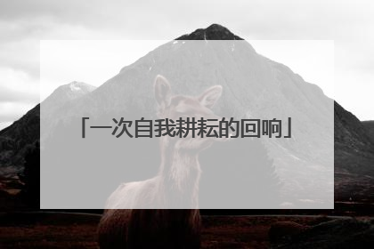 一次自我耕耘的回响