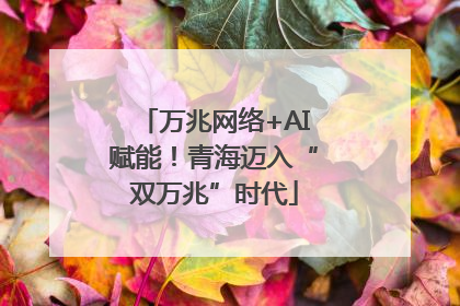 万兆网络+AI赋能！青海迈入“双万兆”时代