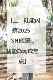 三一硅能闪耀2025 SNEC展，智能微网成焦点