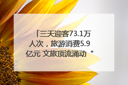 三天迎客73.1万人次，旅游消费5.9亿元 文旅顶流涌动“江宁style”