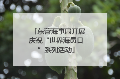 东营海事局开展庆祝“世界海员日”系列活动