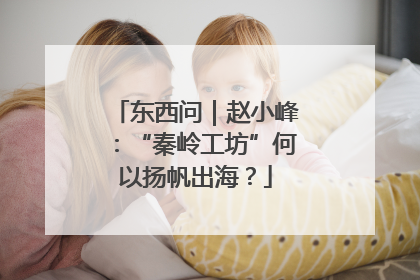 东西问｜赵小峰：“秦岭工坊”何以扬帆出海？