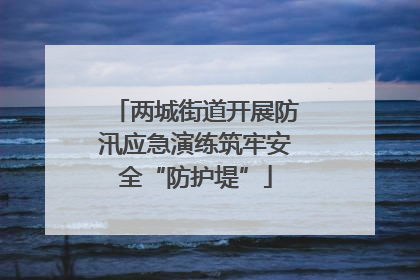 两城街道开展防汛应急演练筑牢安全“防护堤”