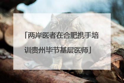 两岸医者在合肥携手培训贵州毕节基层医师