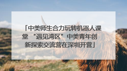 中美师生合力玩转机器人课堂 “遇见湾区”中美青年创新探索交流营在深圳开营