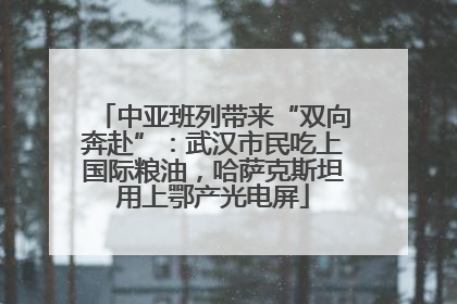 中亚班列带来“双向奔赴”：武汉市民吃上国际粮油，哈萨克斯坦用上鄂产光电屏