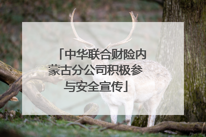 中华联合财险内蒙古分公司积极参与安全宣传