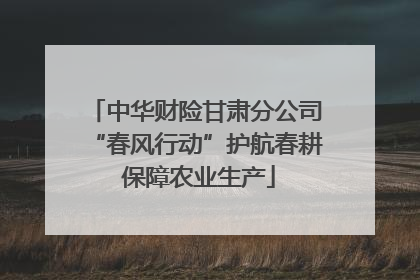 中华财险甘肃分公司“春风行动”护航春耕 保障农业生产