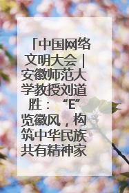 中国网络文明大会｜安徽师范大学教授刘道胜：“E”览徽风，构筑中华民族共有精神家园