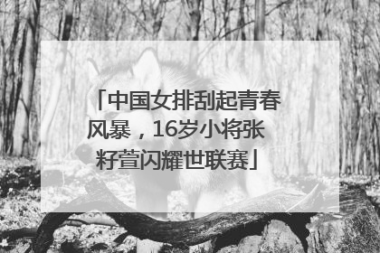 中国女排刮起青春风暴，16岁小将张籽萱闪耀世联赛